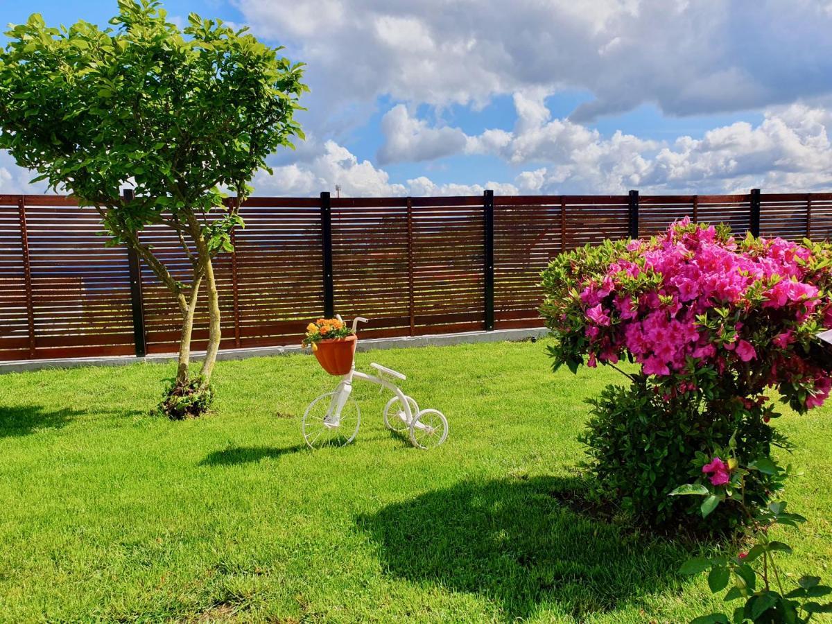 Rosinha Country House Vale de Cambra Exterior foto